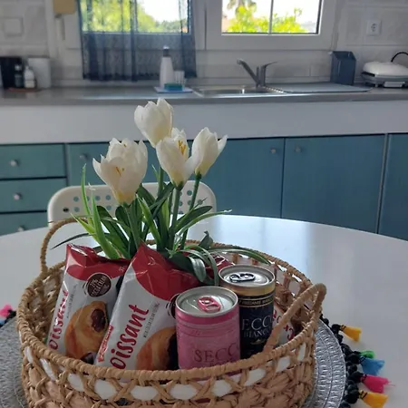 Eleftheria Apartamento Kassandra